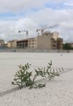groupesdunes