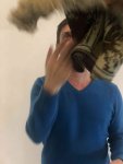 Bouillir le vide, un récital